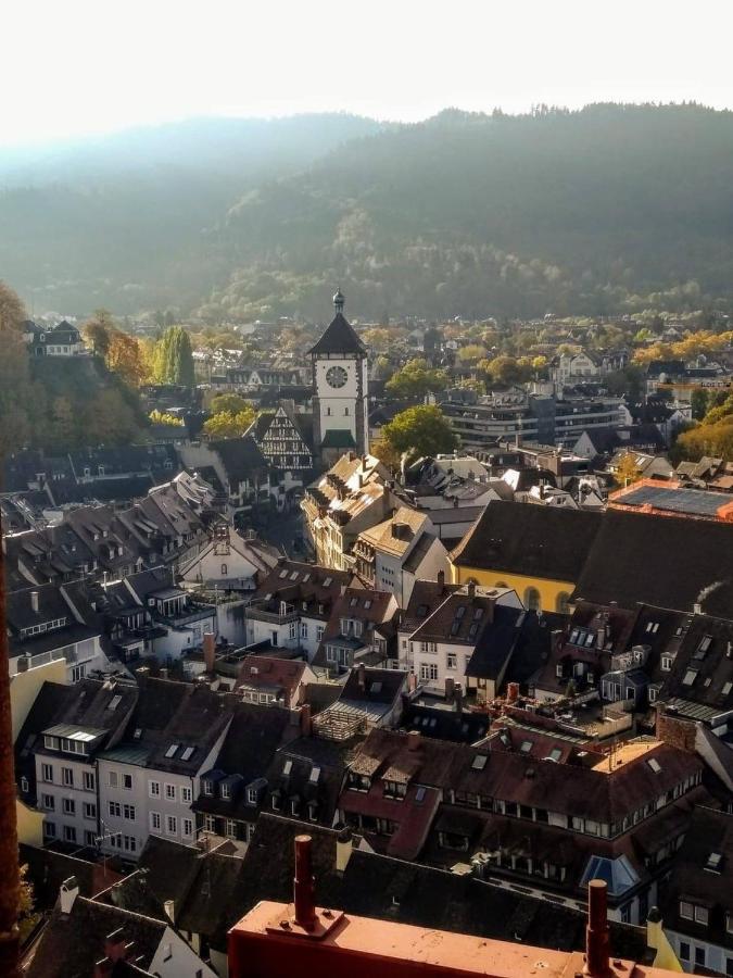 Luxus Penthouse Whiterussian Apartment Freiburg im Breisgau Ngoại thất bức ảnh